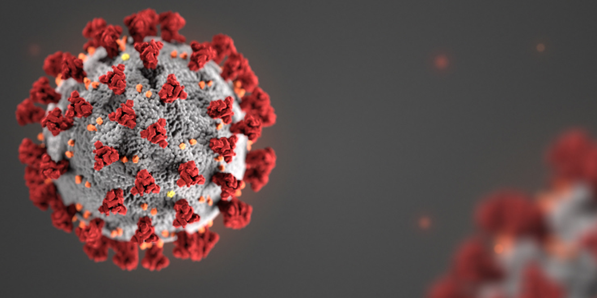 Corona Virus image